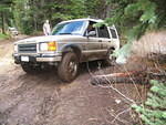 New Disco on threee wheels.JPG