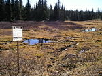 P1011471_1.jpg