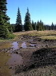 P1011485_1.jpg
