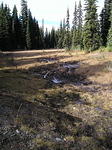 P1011496_1.jpg