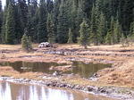 P1011501_1.jpg