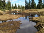 P1011512_1.jpg