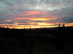P1011521_1.jpg