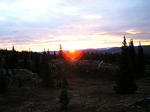P1011529_1.jpg
