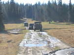 Whipsawoct05 003.jpg