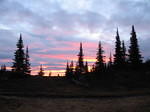 Whipsawoct05 005.jpg