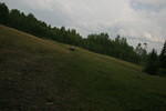 Mackenzie Trail 05 090.jpg