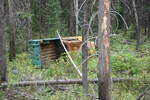 Mackenzie Trail 05 091.jpg