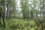 Mackenzie Trail 05 103.jpg
