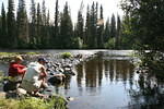 Mackenzie Trail 05 121.jpg