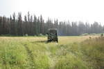 Mackenzie Trail 05 176.jpg