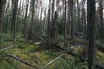Mackenzie Trail 05 179.jpg