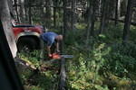 Mackenzie Trail 05 182.jpg