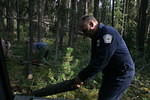 Mackenzie Trail 05 183.jpg