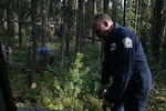 Mackenzie Trail 05 184.jpg