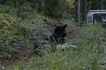 Mackenzie Trail 05 186.jpg