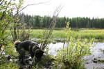 Mackenzie Trail 05 203.jpg