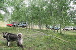 Mackenzie Trail 05 204.jpg