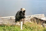 Mackenzie Trail 05 315.jpg