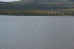 Mackenzie Trail 05 316.jpg