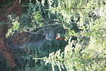 Mackenzie Trail 05 326.jpg