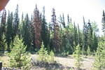 Mackenzie Trail 05 328.jpg