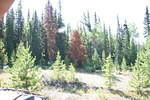 Mackenzie Trail 05 329.jpg