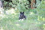 Mackenzie Trail 05 385.jpg