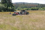 Mackenzie Trail 05 387.jpg