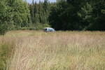 Mackenzie Trail 05 390.jpg