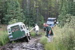 Mackenzie Trail 05 420.jpg