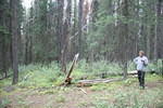 Mackenzie Trail 05 443.jpg
