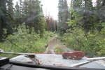 Mackenzie Trail 05 449.jpg