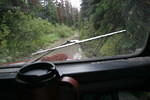 Mackenzie Trail 05 450.jpg