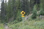 Mackenzie Trail 05 460.jpg