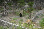 Alexander Mackenzie Trail 2005 093.jpg