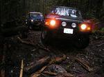 Andy traversing some rotten cedar roots