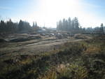 IMG 0801
