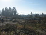 IMG 0808