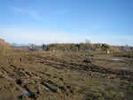 IMG 0809