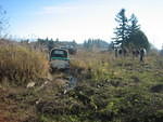 IMG 0847
