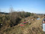 IMG 0875