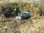 IMG 0881
