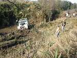 IMG 0890