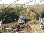 IMG 0901
