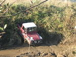 IMG 0907
