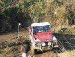 IMG 0908