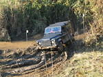 Black D90 RTV Nov 20050098.JPG
