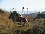 Zuki red RTV Nov 20050010.JPG