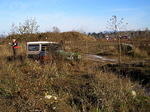P1011815_1.jpg